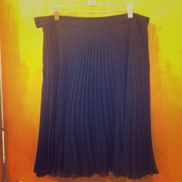 Brooklyn Industries Pleated Navy Skirt