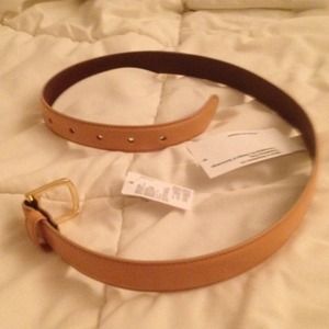 basic leather belt