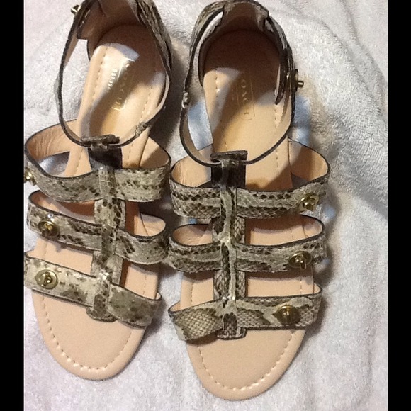 Authentic Coach Snake Sandals
