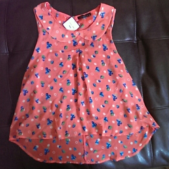 Spectacular Coral Translucent Top with Blueberries