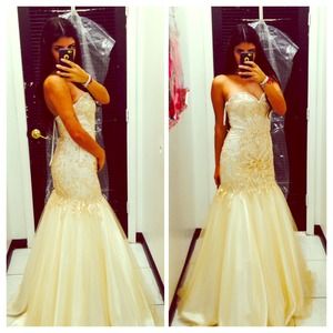 Beautiful Champagne Prom Dress!