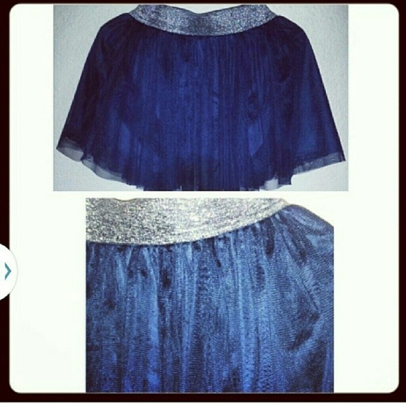 New without tags Blue/Silver Chiffon Skirt - Picture 1 of 1