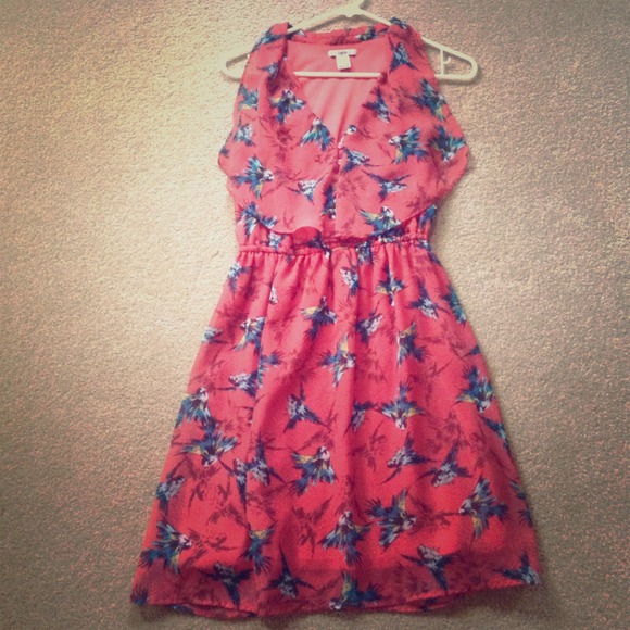 🎀 summer dress👗