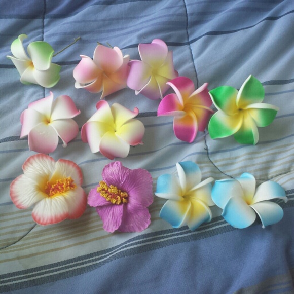 4 for$10 Flower picks and clips