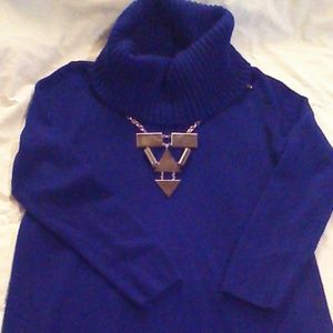 Turtle Neck Sweaterdress