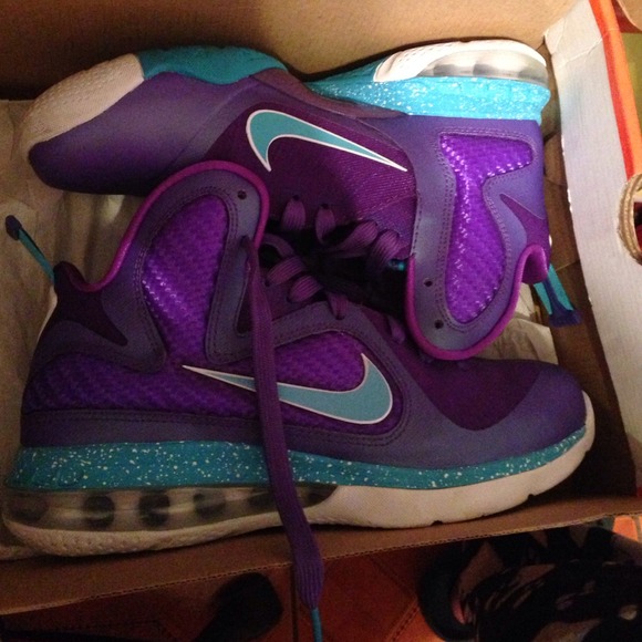 Lebron hornets