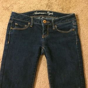 AE Dark Wash Stretch Skinnies