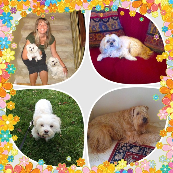 Posh Ambassador 🛍Buyer, Seller, & Stylist - Picture 3 of 12