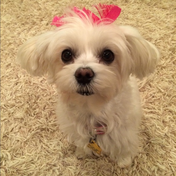 Posh Ambassador 🛍Buyer, Seller, & Stylist - Picture 6 of 12