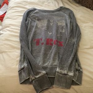 Never worn grey T Rex sweater