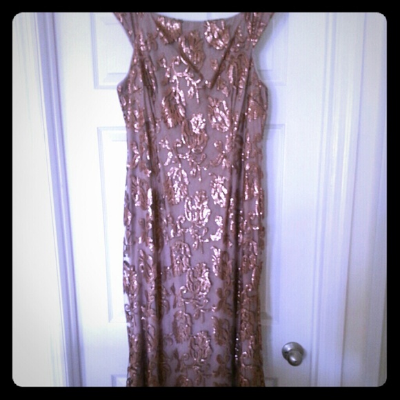 Gorgeous Bronze Dress!