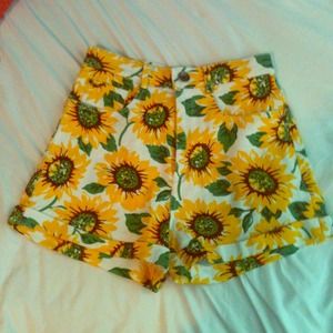 Sunflower shorts
