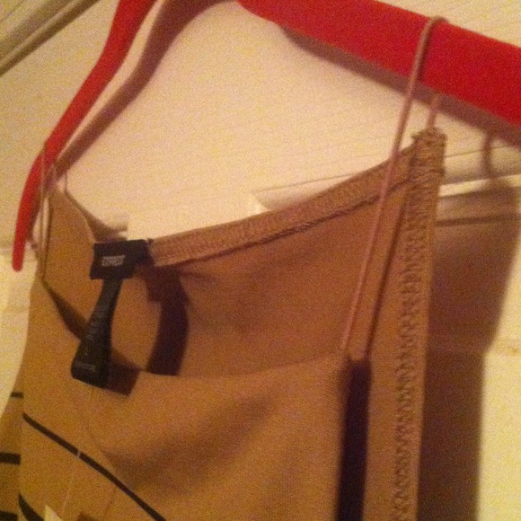 Express Brown & Black top - Picture 3 of 4
