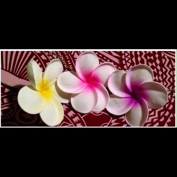 Hawaiian Flowers
