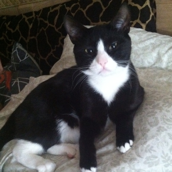 HELP MY MOMMY SELL 😻 - Picture 3 of 4