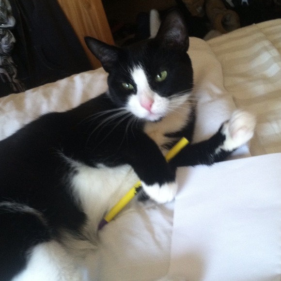 HELP MY MOMMY SELL 😻 - Picture 4 of 4