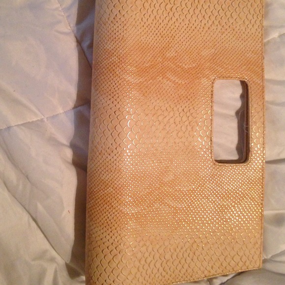 Clutch Purse. SOLD
