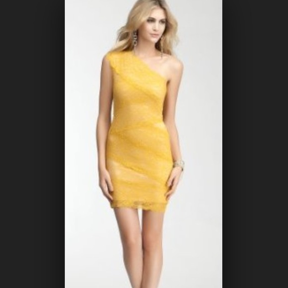 NWT Bebe one shoulder lace dress