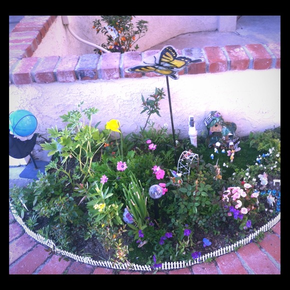 Nature my mini garden ;)