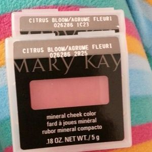 Mary kay mineral cheek color