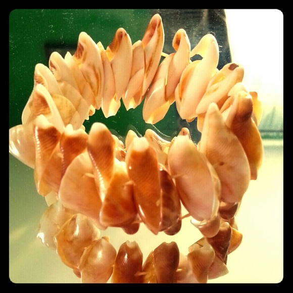 Shell bracelet