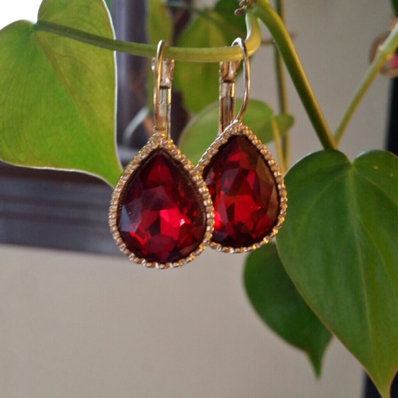 Stunning Ruby Red leaver back earrings
