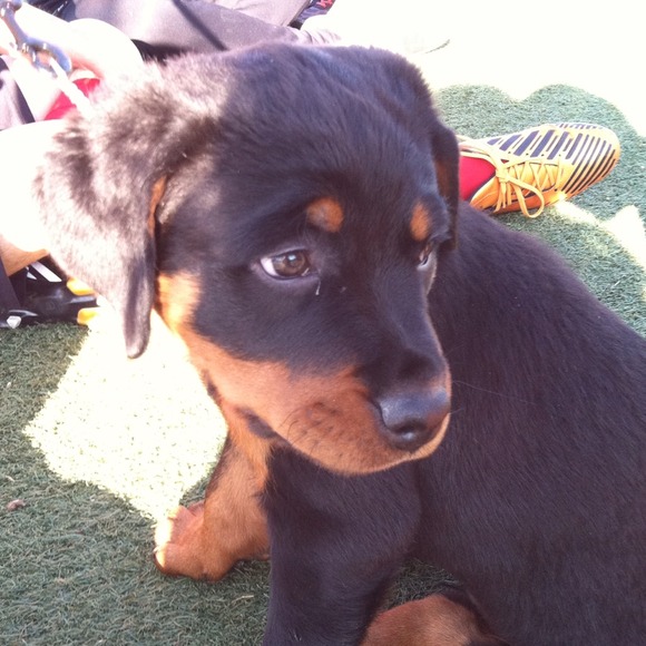 Check Out My Mama's Closet! - Picture 2 of 2