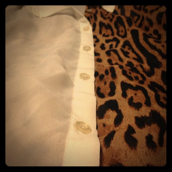 🔵Cheetah Chiffon Top