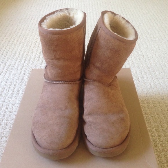 UGG Boots - UGG Classic short boots