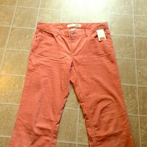 Salmon pink corduroy pants!