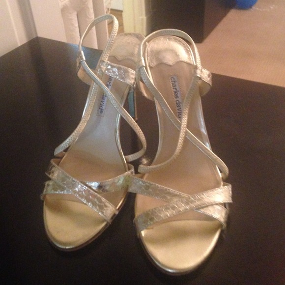 Gorgeous Charles David shoes size 7.5