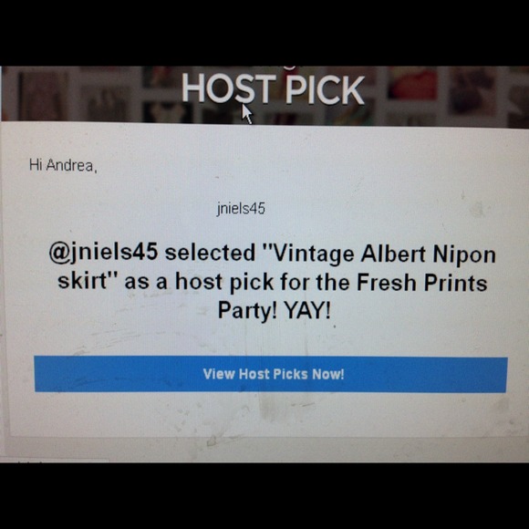 HOST PICK😻 Albert Nipon skirt - Picture 4 of 4