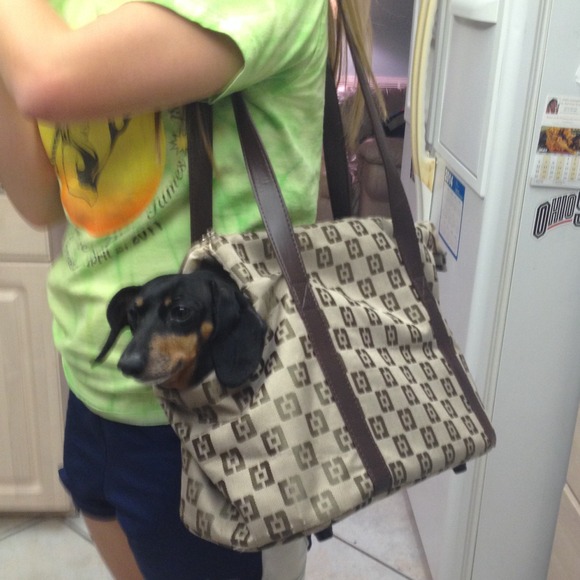 ❤️MARKDOWN❤️NWOT small dog carrier purse
