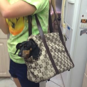 ❤️MARKDOWN❤️NWOT small dog carrier purse