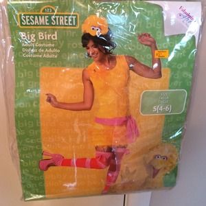 Big bird Costume