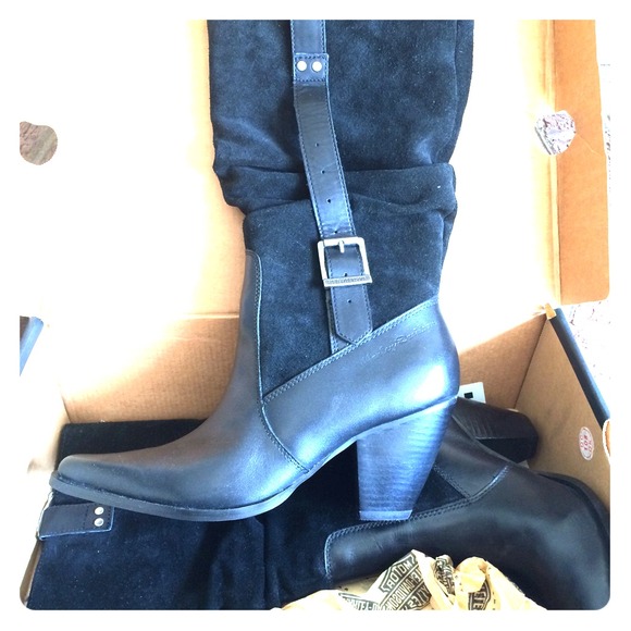 Harley Davidson size 6