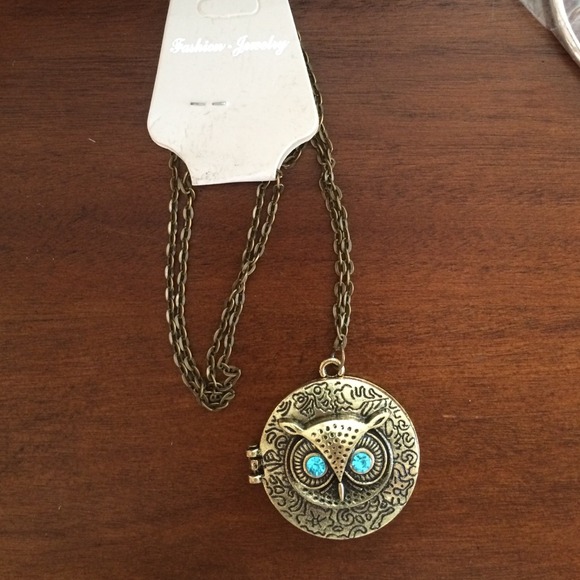 Owl medallion-locket style necklace.