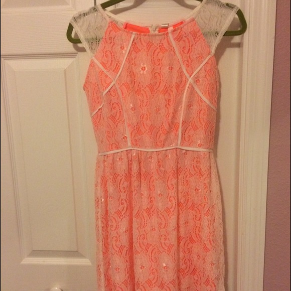 NWT pink owl lace dress