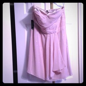 Champagne pink Express dress