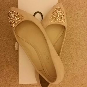 Beautiful pointy toe Aldo Flats