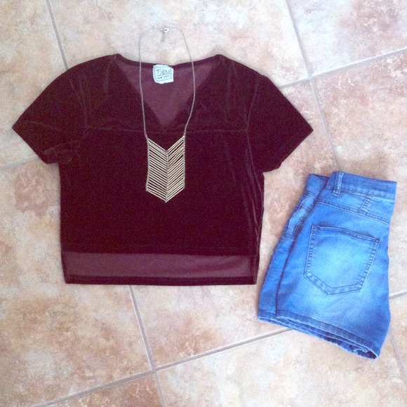 Beautiful Vintage Velvet Crop Top
