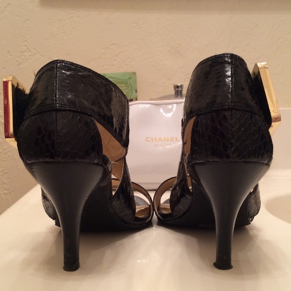 Python Skin - Picture 4 of 4