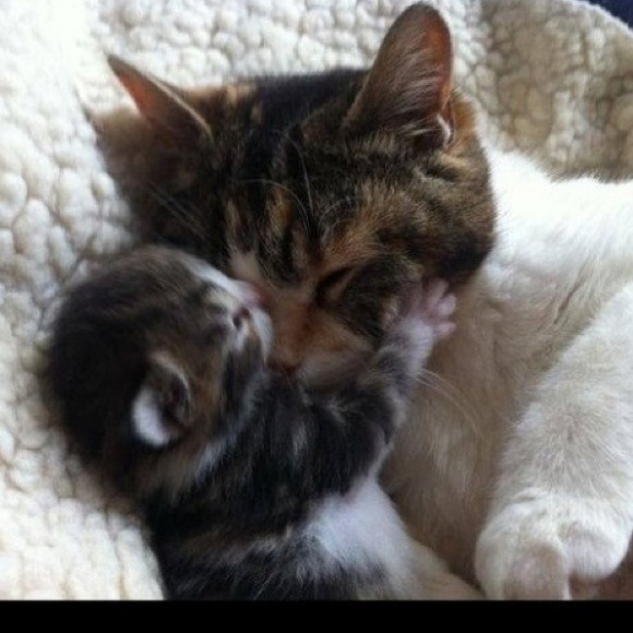 Thank You For All of You!!💕😘 - Picture 2 of 2