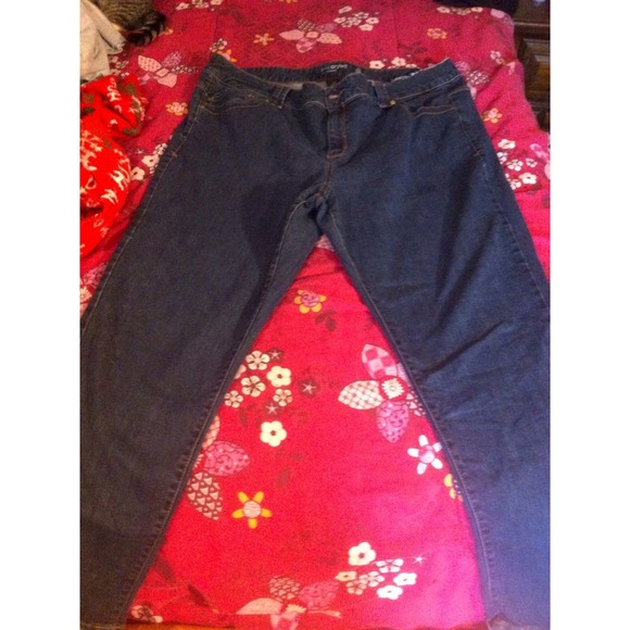 ✨SOLD✨ Plus Size Skinny Jeans