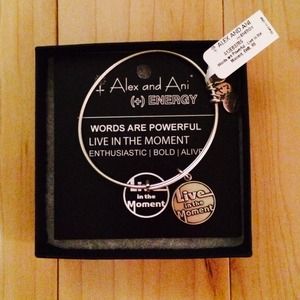 Alex & Ani (Live In The Moment in silver)