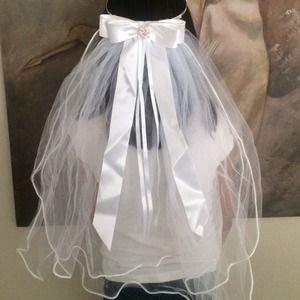 White girls tiara and veil