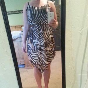 Zebra Dress