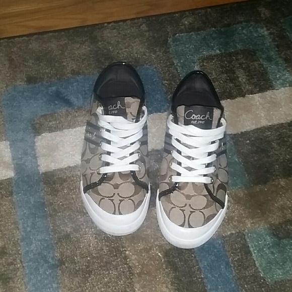 Coach Folly 12cm/STRP WEBB