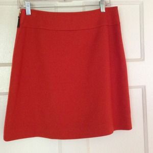 Cute A-line Ann Taylor skirt