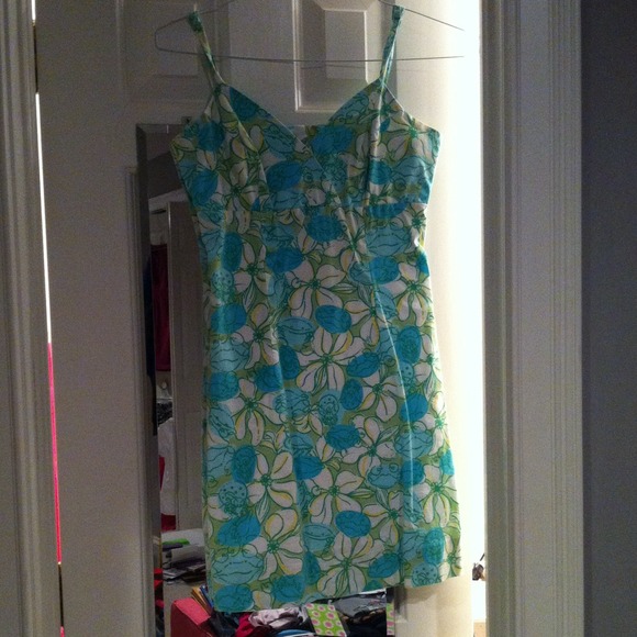 Lilly Summer Dress!
